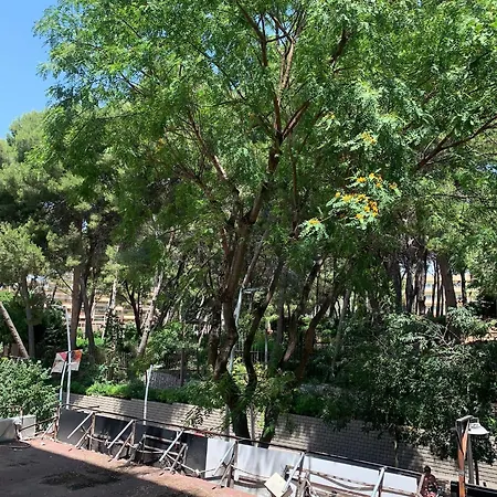 Goya Apartamento Appartamento